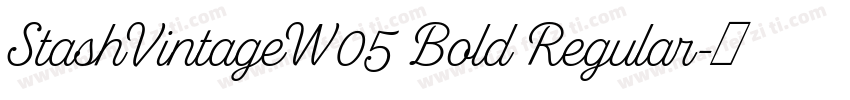 StashVintageW05 Bold Regular字体转换